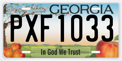 GA license plate PXF1033