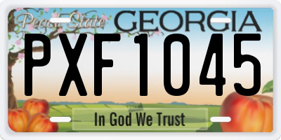 GA license plate PXF1045
