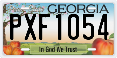 GA license plate PXF1054