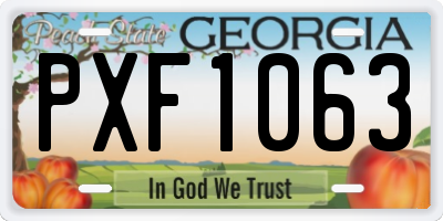 GA license plate PXF1063