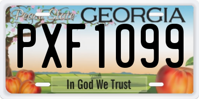 GA license plate PXF1099