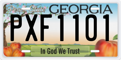 GA license plate PXF1101