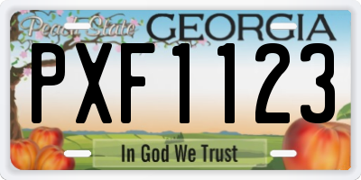 GA license plate PXF1123