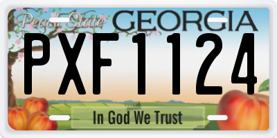 GA license plate PXF1124