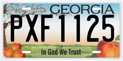 GA license plate PXF1125