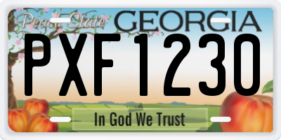 GA license plate PXF1230