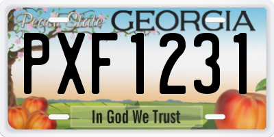 GA license plate PXF1231