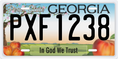 GA license plate PXF1238