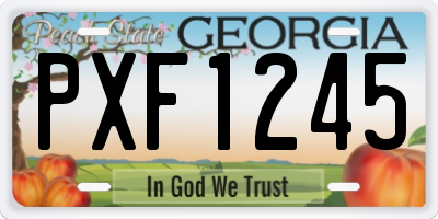 GA license plate PXF1245
