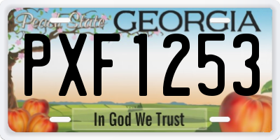 GA license plate PXF1253