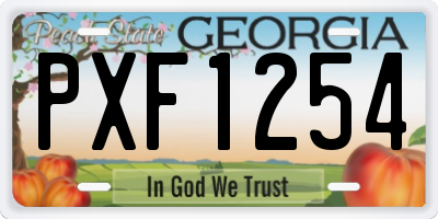 GA license plate PXF1254
