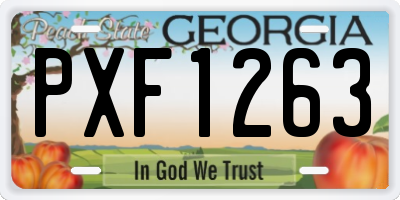 GA license plate PXF1263