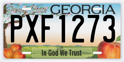 GA license plate PXF1273