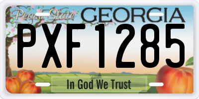 GA license plate PXF1285