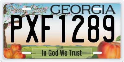 GA license plate PXF1289