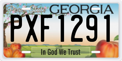 GA license plate PXF1291