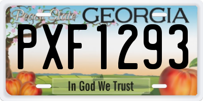 GA license plate PXF1293