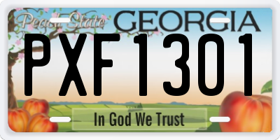 GA license plate PXF1301