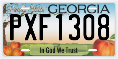 GA license plate PXF1308