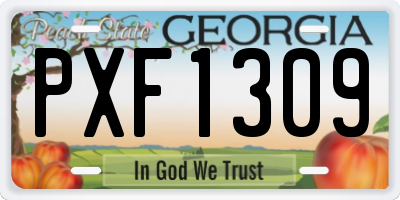 GA license plate PXF1309
