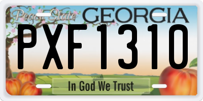 GA license plate PXF1310