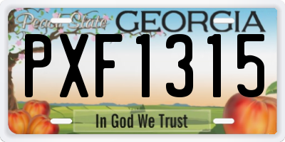 GA license plate PXF1315
