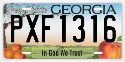 GA license plate PXF1316