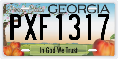 GA license plate PXF1317