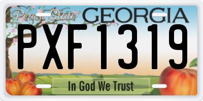 GA license plate PXF1319