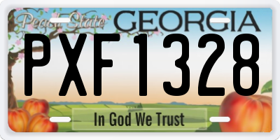 GA license plate PXF1328