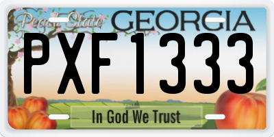 GA license plate PXF1333