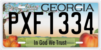 GA license plate PXF1334