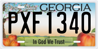 GA license plate PXF1340