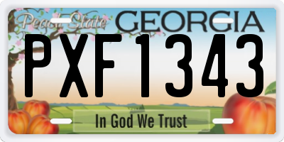 GA license plate PXF1343
