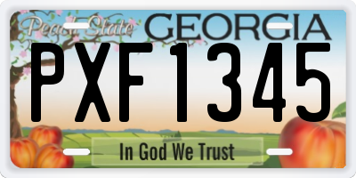 GA license plate PXF1345