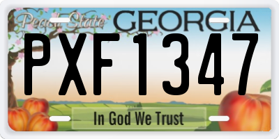 GA license plate PXF1347