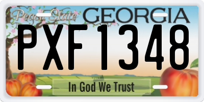 GA license plate PXF1348