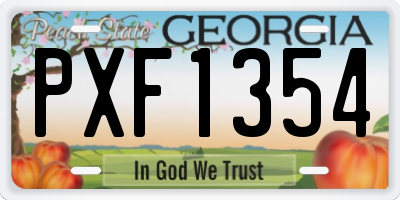 GA license plate PXF1354