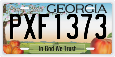 GA license plate PXF1373