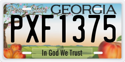 GA license plate PXF1375