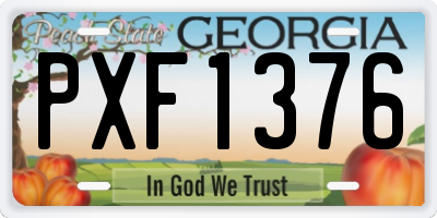 GA license plate PXF1376