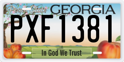 GA license plate PXF1381