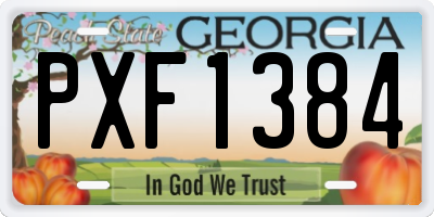 GA license plate PXF1384
