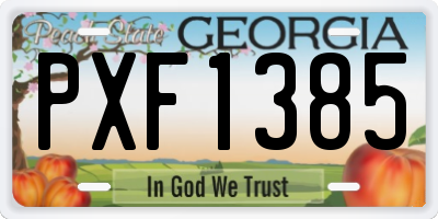 GA license plate PXF1385