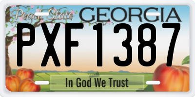 GA license plate PXF1387