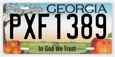 GA license plate PXF1389