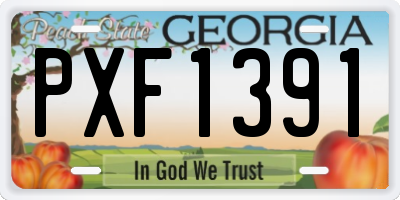 GA license plate PXF1391