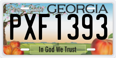 GA license plate PXF1393