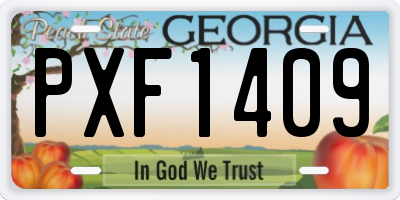 GA license plate PXF1409