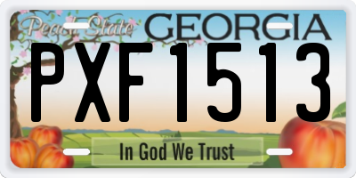 GA license plate PXF1513